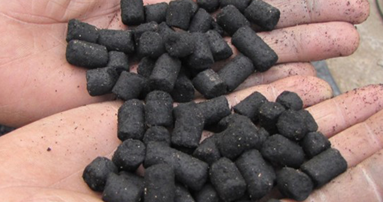 Biochar – Carbon for the Soil, Climate, and Future